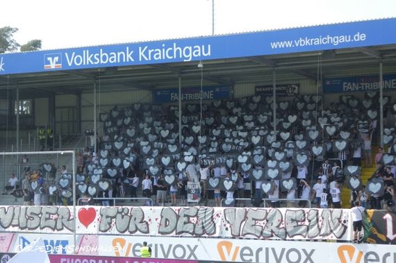SV Sandhausen vs SV Darmstadt 98 (1-1) (8)