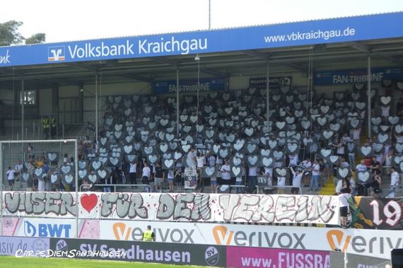 SV Sandhausen vs SV Darmstadt 98 (1-1) (11)