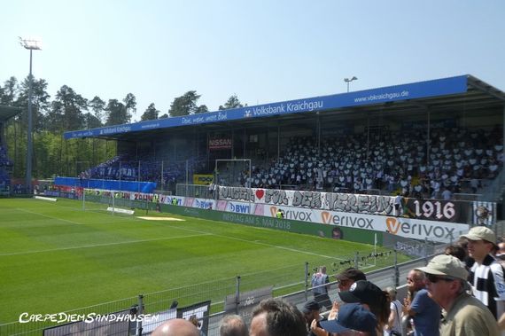 SV Sandhausen vs SV Darmstadt 98 (1-1) (13)