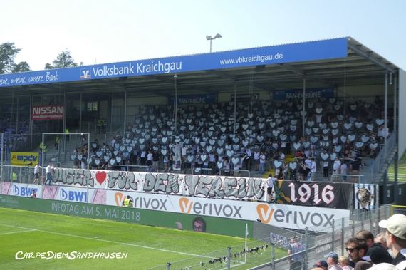 SV Sandhausen vs SV Darmstadt 98 (1-1) (14)