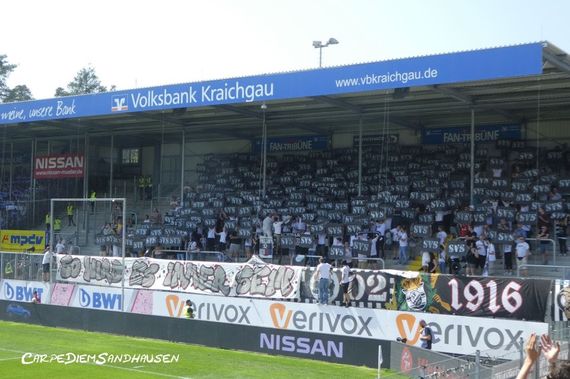 SV Sandhausen vs SV Darmstadt 98 (1-1) (19)