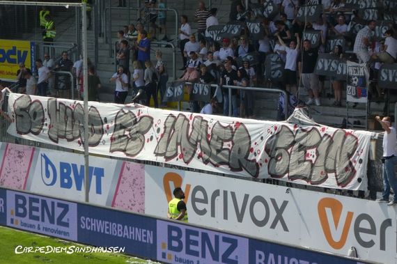 SV Sandhausen vs SV Darmstadt 98 (1-1) (22)