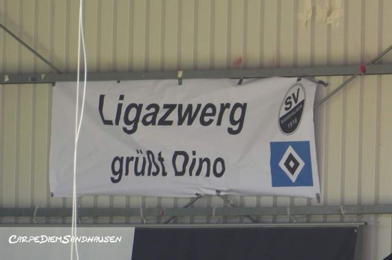 SV Sandhausen vs Hamburger SV (0-3) (9)