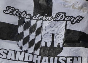 SV Darmstadt 98 vs SV Sandhausen (1-1)