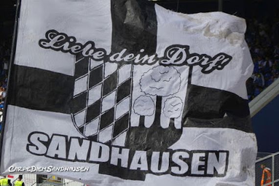 SV Darmstadt 98 vs SV Sandhausen (1-1) (6)