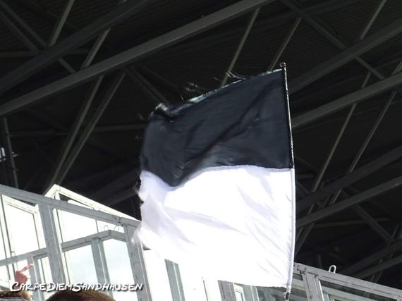 SV Darmstadt 98 vs SV Sandhausen (1-0) (4)