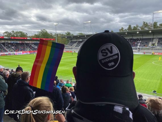 SV Sandhausen vs FC Erzgebirge Aue (2-2) (4)
