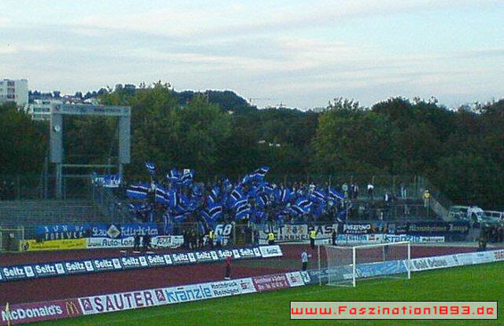SSV Ulm 1846 vs SV Waldhof Mannheim 07 (4-2) (2)