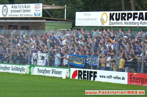 SV Sandhausen vs SV Waldhof Mannheim 07 (1-1) (2)