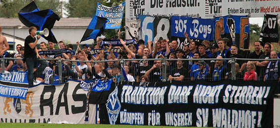 SV Linx vs SV Waldhof Mannheim 07 (3-1) (2)