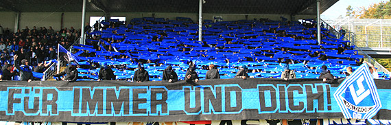TSG Hoffenheim II vs SV Waldhof Mannheim 07 (3-1) (2)