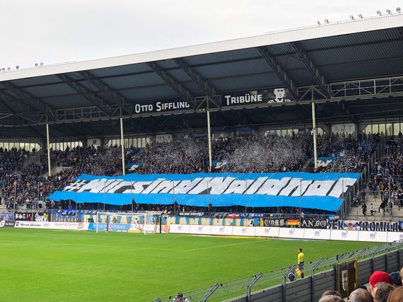 SV Waldhof Mannheim 07 vs Hallescher FC (0-4) (1)