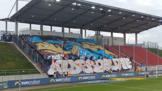 FSV Zwickau vs SV Waldhof Mannheim 07 (0-1) (1)