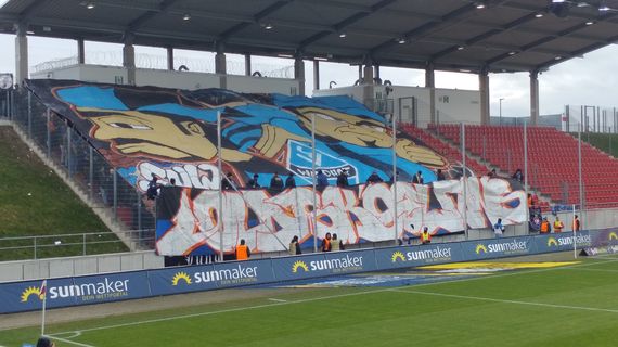 FSV Zwickau vs SV Waldhof Mannheim 07 (0-1) (2)