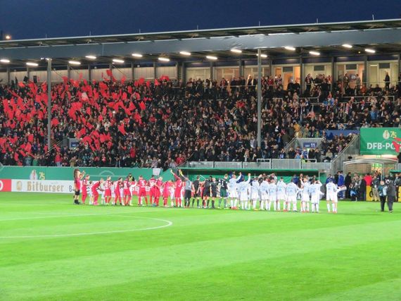 SV Wehen Wiesbaden vs FC Schalke 04 (1-3) (8)