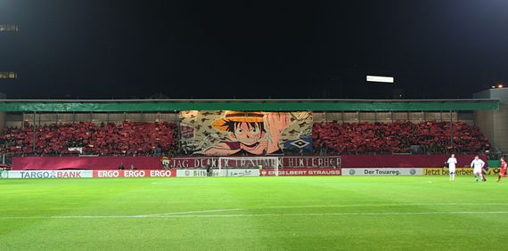 SV Wehen Wiesbaden vs Hamburger SV (0-3) (2)