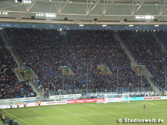 TSG Hoffenheim vs FC Energie Cottbus (2-0) (13)