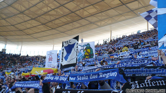 TSG Hoffenheim vs Hannover 96 (2-2) (3)