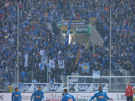 TSG Hoffenheim vs Hannover 96 (2-2) (9)