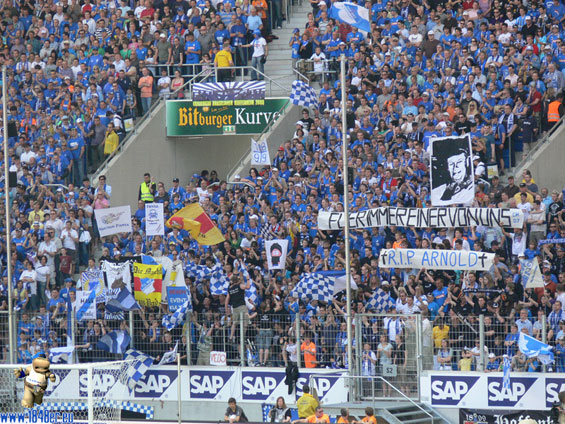 TSG Hoffenheim vs VfL Bochum (0-3) (3)