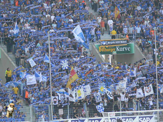 TSG Hoffenheim vs VfL Bochum (0-3) (5)
