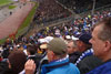 Karlsruher SC vs TSG Hoffenheim (2-2)