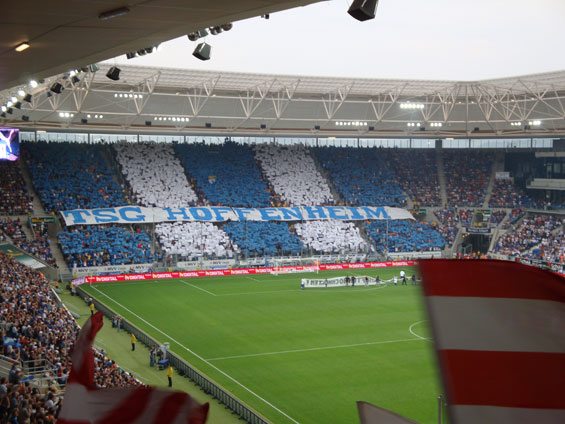 TSG Hoffenheim vs FC Bayern München (1-1) (11)