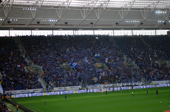 TSG Hoffenheim vs 1. FC Nürnberg (3-0) (3)