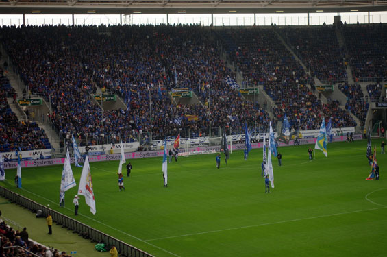 TSG Hoffenheim vs 1. FC Nürnberg (3-0) (4)