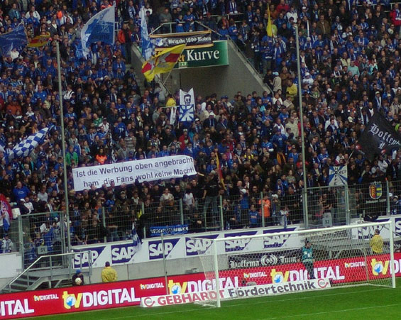 TSG Hoffenheim vs 1. FC Nürnberg (3-0) (5)
