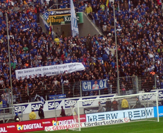 TSG Hoffenheim vs 1. FC Nürnberg (3-0) (6)