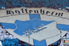 TSG Hoffenheim vs VfB Stuttgart (1-1)