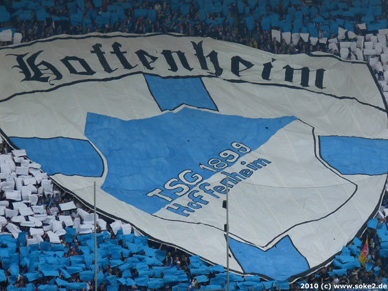 TSG Hoffenheim vs VfB Stuttgart (1-1) (13)