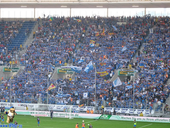 TSG Hoffenheim vs VfL Bochum (3-0) (1)