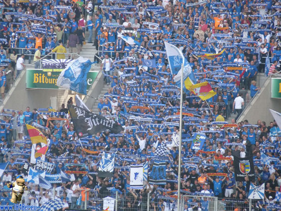 TSG Hoffenheim vs VfL Bochum (3-0) (2)
