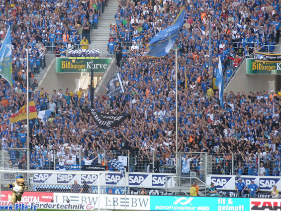 TSG Hoffenheim vs VfL Bochum (3-0) (4)