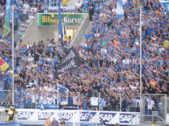 TSG Hoffenheim vs VfL Bochum (3-0) (5)