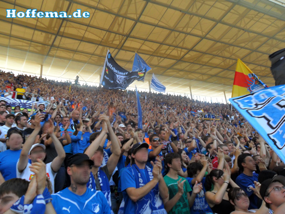 TSG Hoffenheim vs Werder Bremen (4-1) (3)