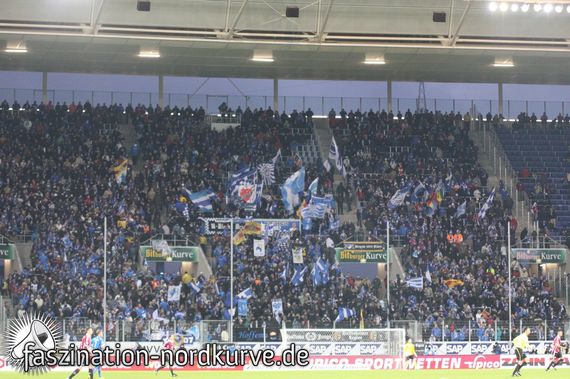 TSG Hoffenheim vs 1. FC Nürnberg (1-1) (1)