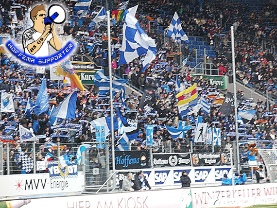 TSG Hoffenheim vs 1. FC Nürnberg (1-1) (2)