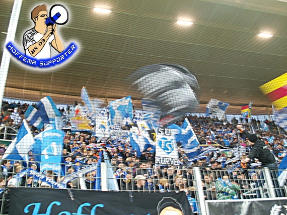 TSG Hoffenheim vs 1. FC Nürnberg (1-1) (11)