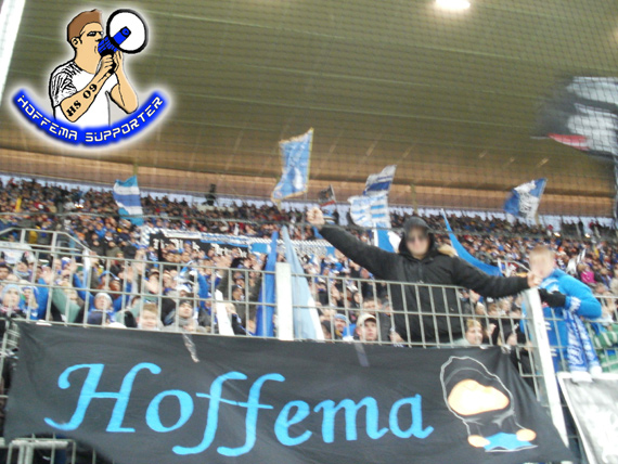 TSG Hoffenheim vs 1. FC Nürnberg (1-1) (13)