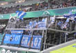 VfL Wolfsburg vs TSG Hoffenheim (2-2)