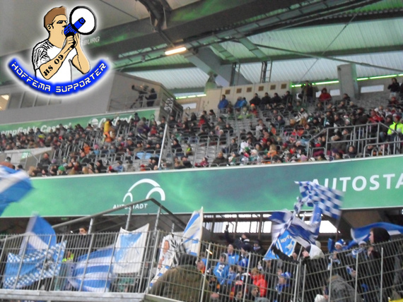 VfL Wolfsburg vs TSG Hoffenheim (2-2) (6)