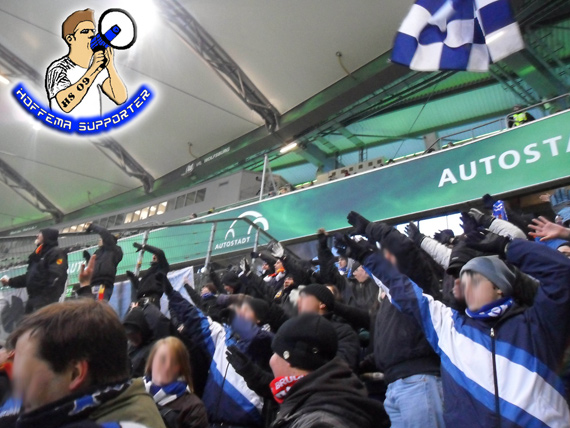 VfL Wolfsburg vs TSG Hoffenheim (2-2) (7)
