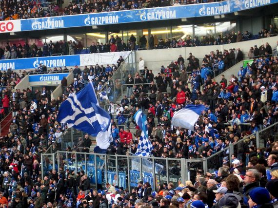 FC Schalke 04 vs TSG Hoffenheim (0-1) (2)