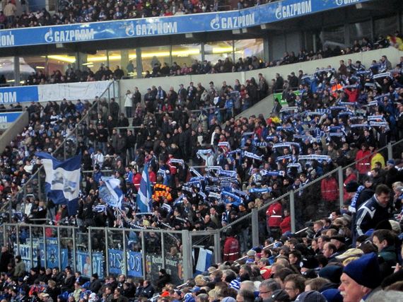 FC Schalke 04 vs TSG Hoffenheim (0-1) (5)