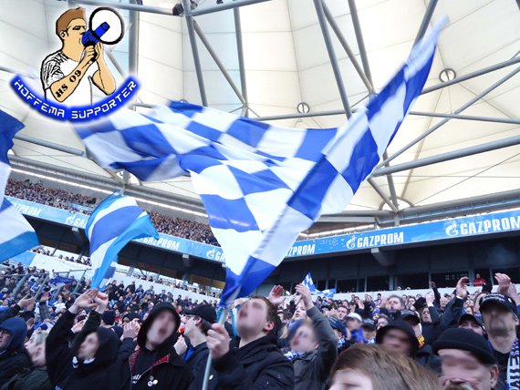 FC Schalke 04 vs TSG Hoffenheim (0-1) (9)
