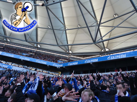 FC Schalke 04 vs TSG Hoffenheim (0-1) (10)
