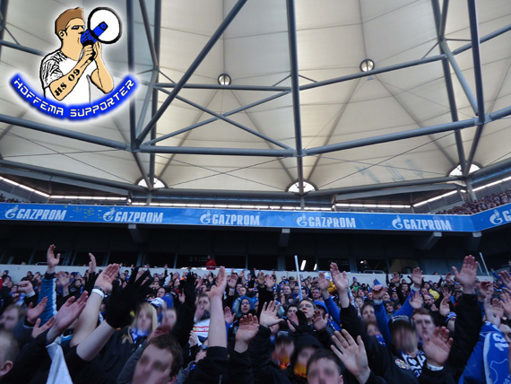 FC Schalke 04 vs TSG Hoffenheim (0-1) (12)